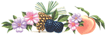 fruit.gif (8699 bytes)
