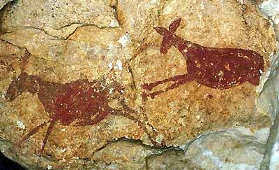 Deer from rockshelter 5 of Cingle de La Gasulla (Castellón)