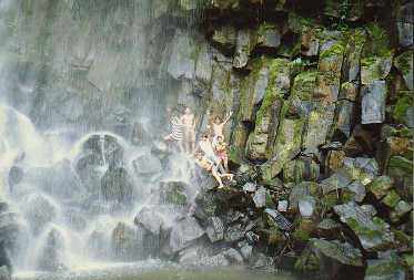 Dilarocks.