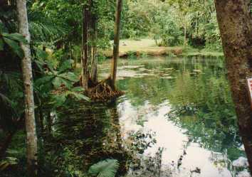 Nasuli Spring.