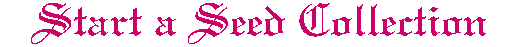 /user/Startaseed.gif