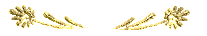 br3.gif (2773 bytes)