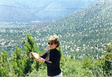jdenverr.jpg (29601 bytes)