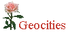 geo.gif (2851 byte)