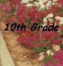 10th Grade--Body Language