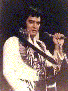1elvis.gif (138403 bytes)