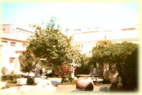 Court-yard of the Graeco-Roman museum