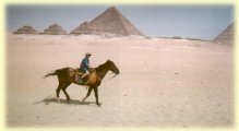 George on his horse at the Pyramids