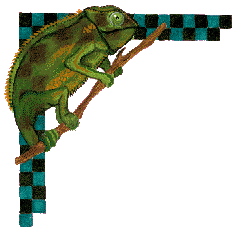 lizcrn01.gif (11231 bytes)