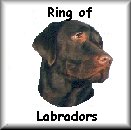 Click to join the ring of Labrador Retrievers