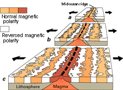 Magnetic Reversals