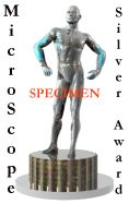 [Silver Award Specimen]