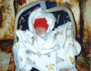 Carseat