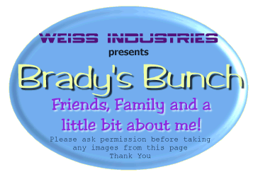 Bradys Bunch Logo
