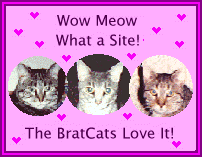 Bratcats award