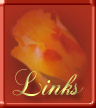 Favorite Links