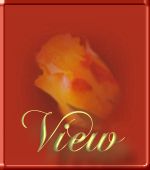 View My Guestbook
