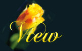 View My Guestbook