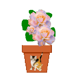 flower4_dec599.gif (12358 bytes)