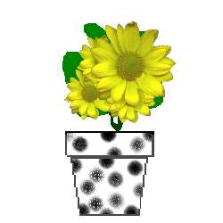 flwr_karren.gif (14774 bytes)