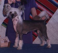 Daizee