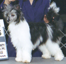 Lola