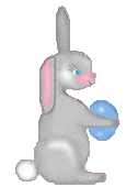 bunny