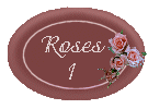rosebut1