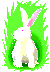 graphic of rabbit