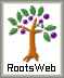 RootsWebIcon.gif (972 bytes)
