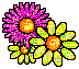 Charlotte's Logo Flowers