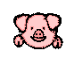 Piggy Head