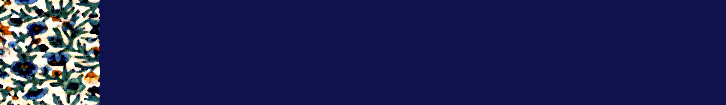 bordered bg06