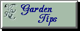 Garden Tips