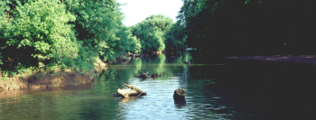 Caney Fork