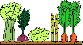 Veggie Row