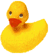 Edward Duck