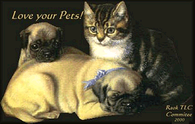 Love your pets