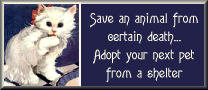 Shelter pet