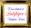 Ladyhipoo's