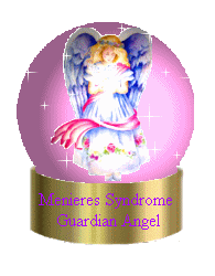 Guardian Angel Globe