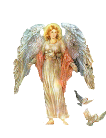 angel of doves