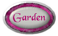 BACK TO GARDEN