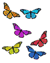 blue green butterfly