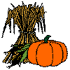 wheat and
pumpkin