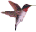 hummingbirdlefttiny.gif (2727 bytes)