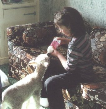 Katie feeding lamb