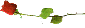rose.gif (5509 bytes)