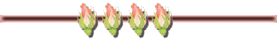 rosebar