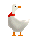 duck.gif (2581 bytes)